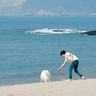 と ある 科学 の 一方 通行 パチンコ 10 Bet Japan Deposit WINNER カン・スンユン＆イ・スンフン バラエティ番組「犬はワンダフル」に愛犬スロットオンライン出演決定